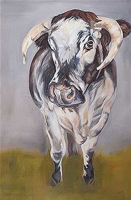 LONGHORN COW