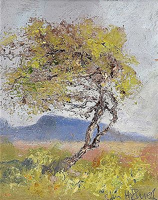 FAIRY THORN NEAR MUCKISH