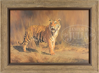 “BENGAL TIGER”