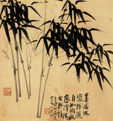 Bamboo