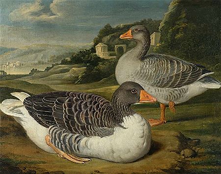 Zwei Graugänse in einer Parklandschaft