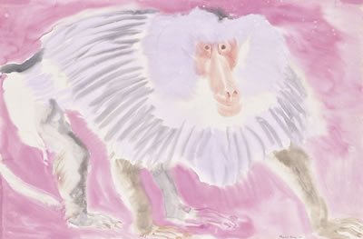 Monkey, 1951