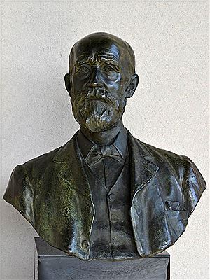 Bust