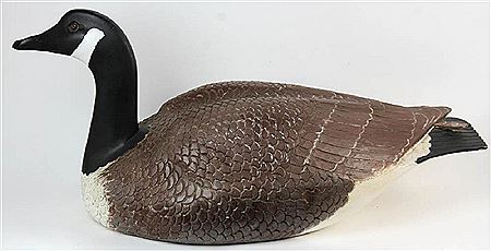 Canada goose