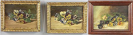 Pansies (3)