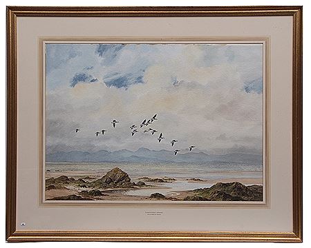 "BARNACLE GEESE"