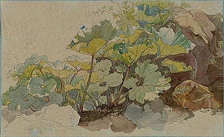 Plant study with insect and lizard