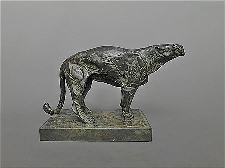 Lionne feulant