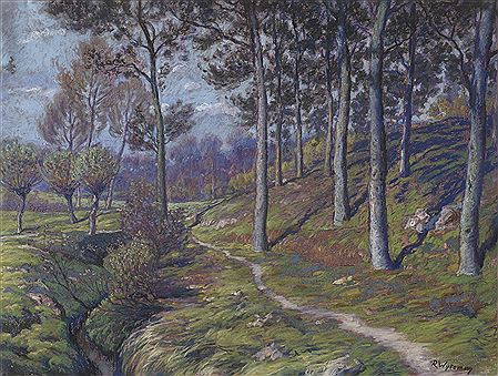 Forest Landscape