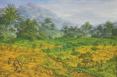 Sawah di Pegunungan