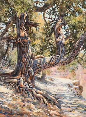 Canyon Monarch