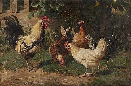 The Chicken Farm
