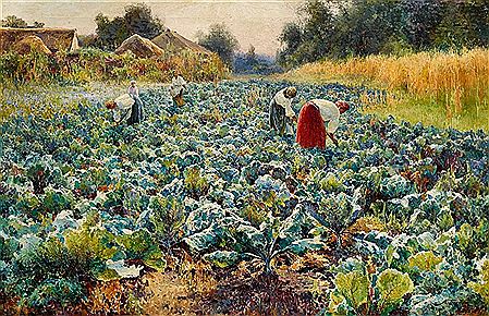 The Cabbage Harvest by Mikhail Andrjejevits Berkos - Auction record, sale price, and art valuation. Compare with similar artists and explore comparable artworks.