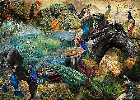 When Horses Gallop