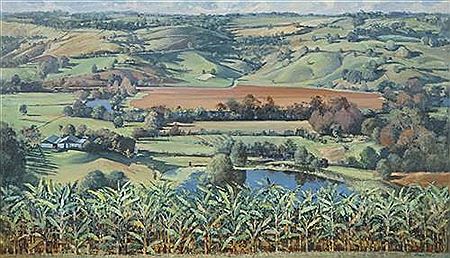 Farmlands