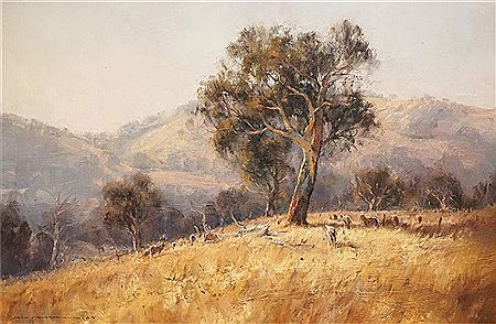 Sheep Grazing On The Hill, Kangaroo Valley, 1985