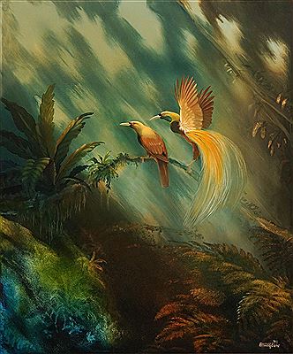 Birds of Paradise