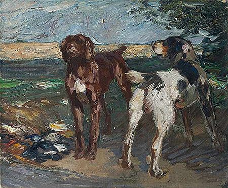 Zwei Jagdhunde