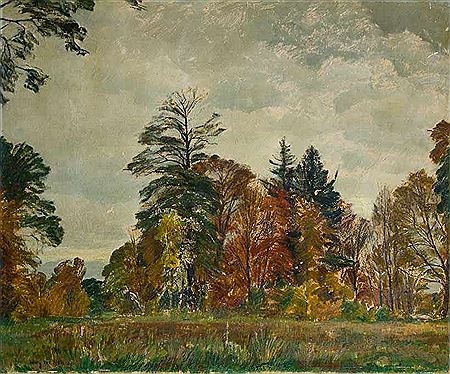 Herbstliche Waldlichtung