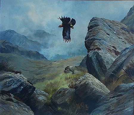 Golden Eagle by David M Reid-Henry - Auction record, sale price, and art valuation. Compare with similar artists and explore comparable artworks.