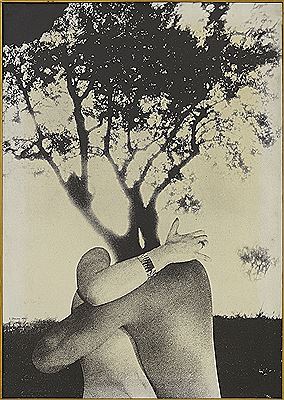 Sogni di fiori selvaggi, 1970