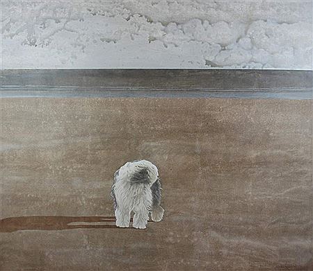 Sheep dog on a beach