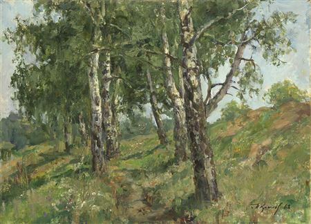 Birch Trees by the Senezh Lake