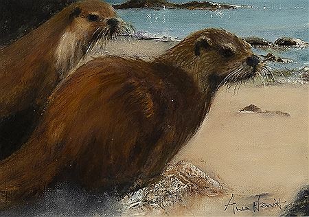 OTTERS, KYLES OF BUTE