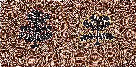 Bush Tomato, 1990