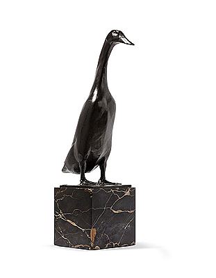 Indian Runner Duck