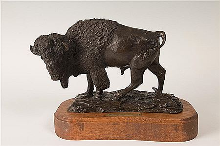 Old Bull