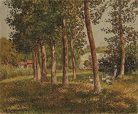 Young girl with geese