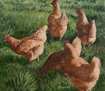 Chickens