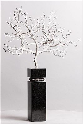 Winter Tree