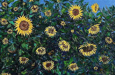 Sunflowers