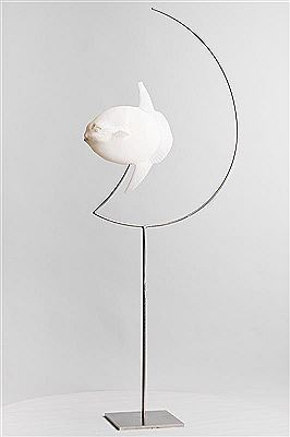 Moon Fish