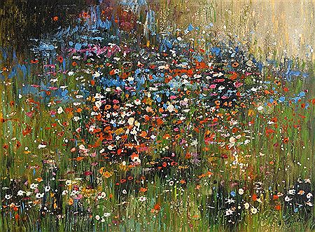 Wild Flower Meadow