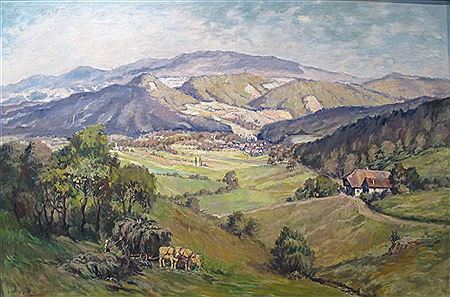 Schwarzwald-Landschaft