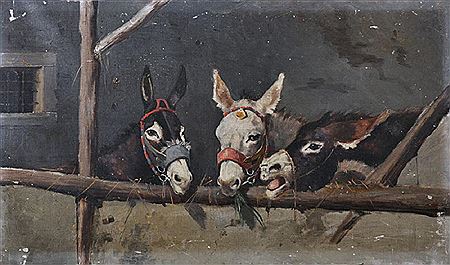 A Study of Three Donkeys