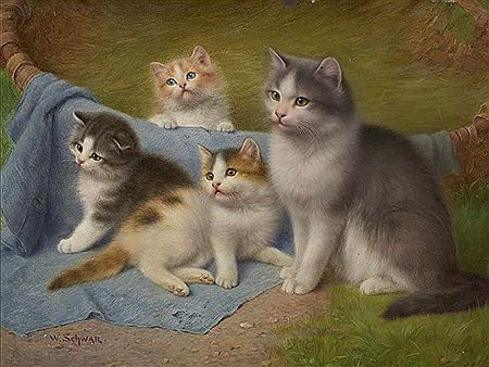 Cat mother with her three boys