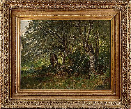 The pond under the trees