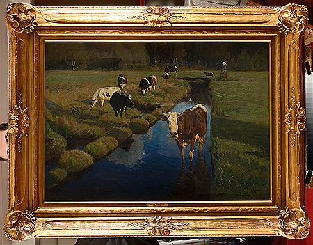 Cows