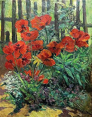 Coquelicots