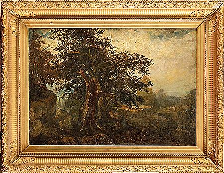 Le vieux chêne
