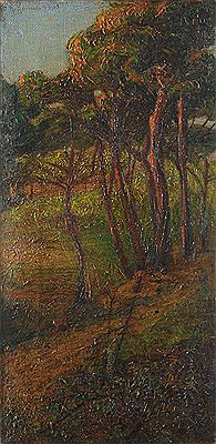Pineta