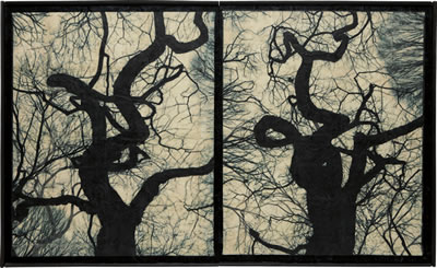 Blot Out the Sun #1--diptych