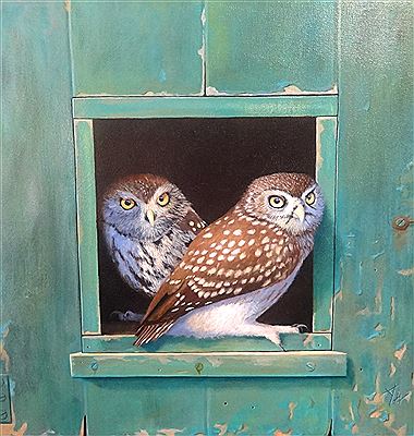 'Owls'
