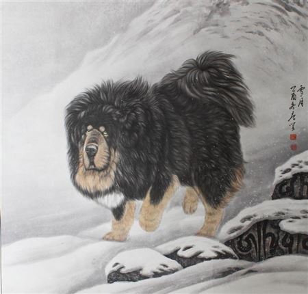 TIBETAN MASTIFF
