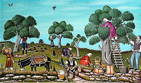Harvesting Olive Trees