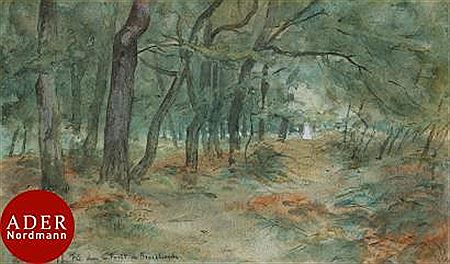 Fée dans la forêt de Brocéliande